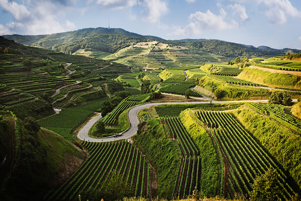Aerial view of Germany's Wine Growing Region Baden
