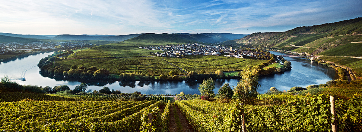 Mosel - German Wines USA