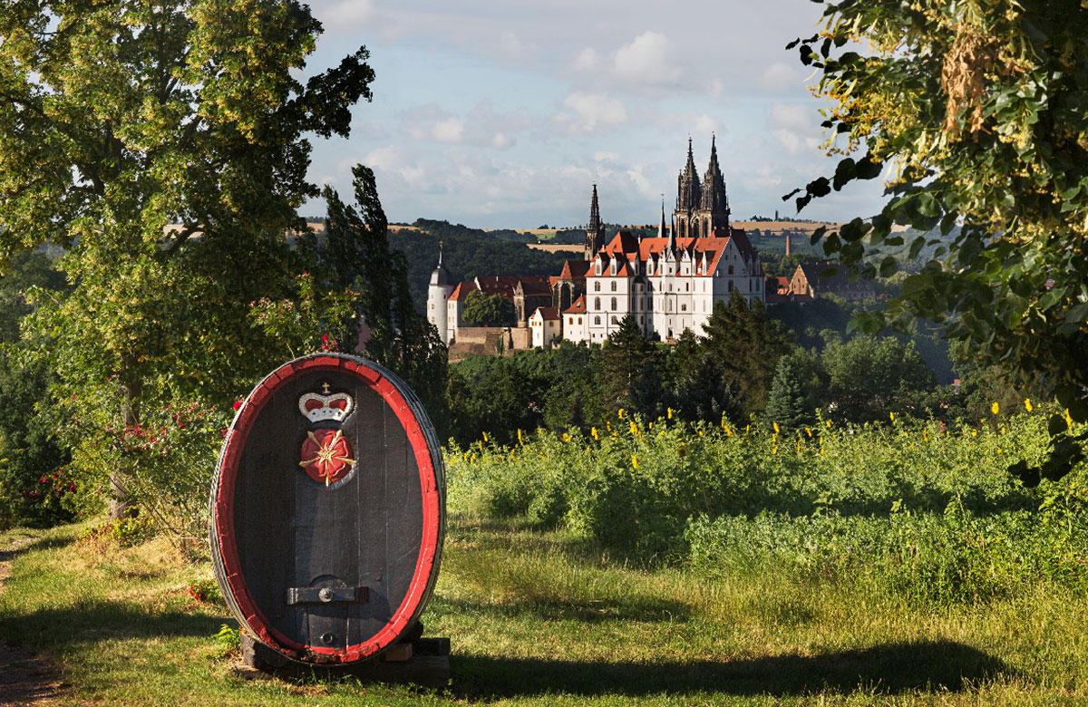 WOG_ExploreMore_5050Split_History German Wines USA